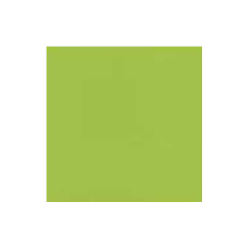 PAPIER DESSIN A3 130G VERT PRINTEMPS PAQ. 50FLS