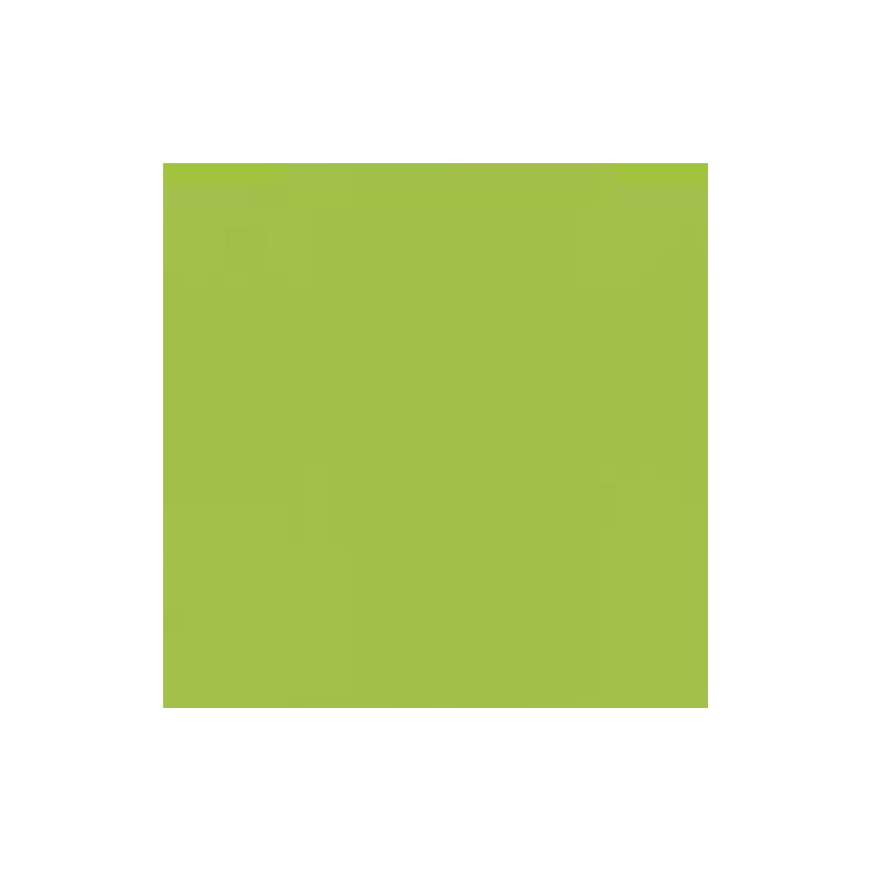 PAPIER DESSIN A4 130G VERT PRINTEMPS PAQ. 100FLS