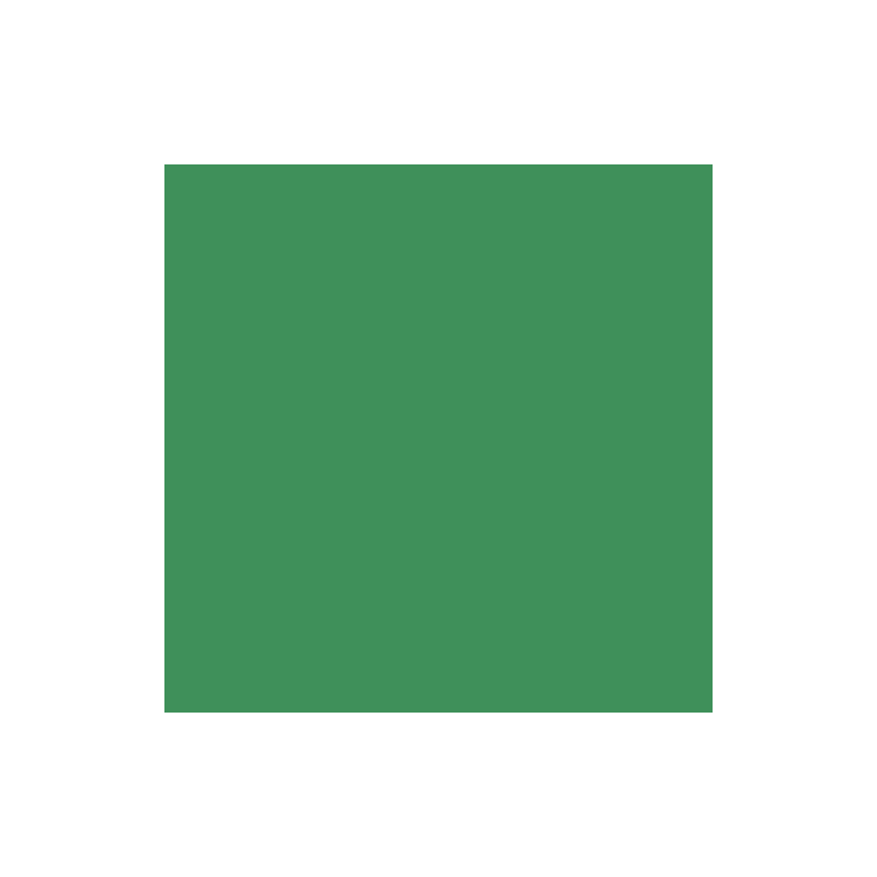 PAPIER DESSIN A4 130G VERT MOUSSE PAQ. 100FLS
