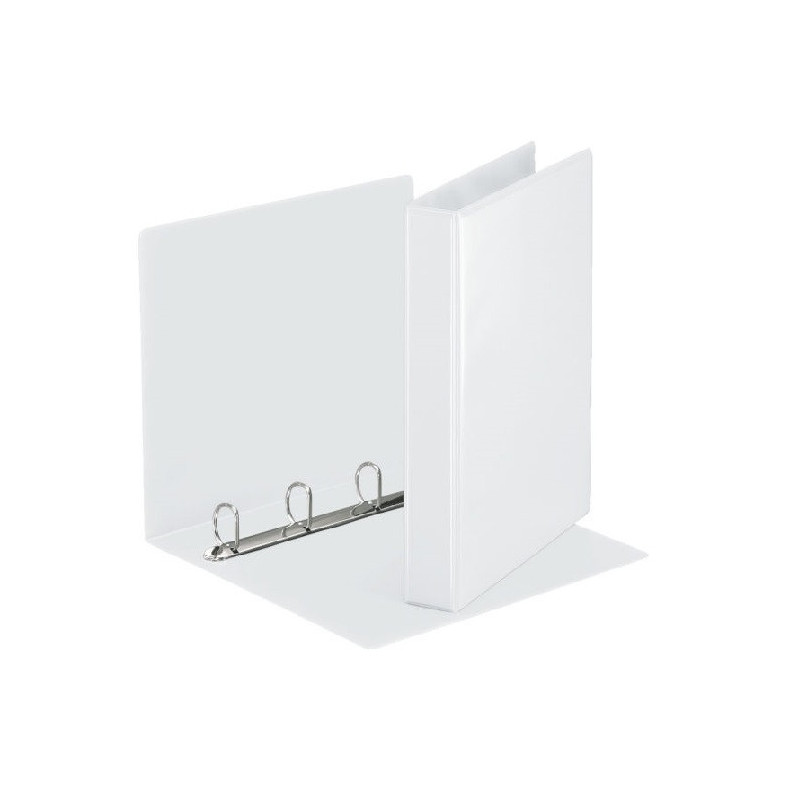 CLASSEUR ESSELTE PP PERS. 4AN. 50MM BLANC