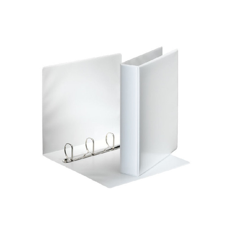 CLASSEUR ESSELTE PP PERS. 4AN. 60MM BLANC
