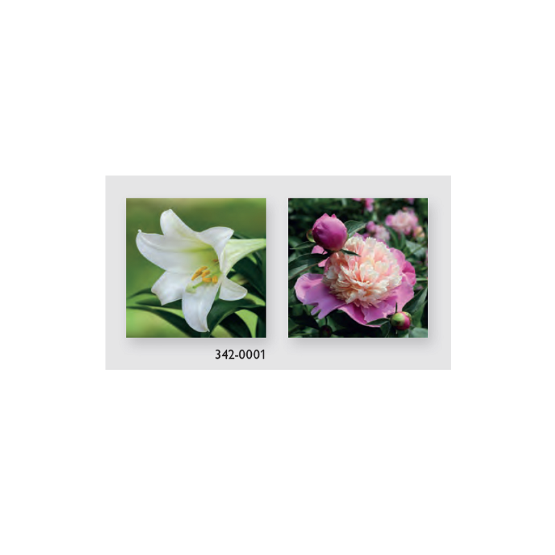 DOS CALENDRIER FLEURS ASS. 145X295MM