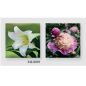 DOS CALENDRIER FLEURS ASS. 145X295MM