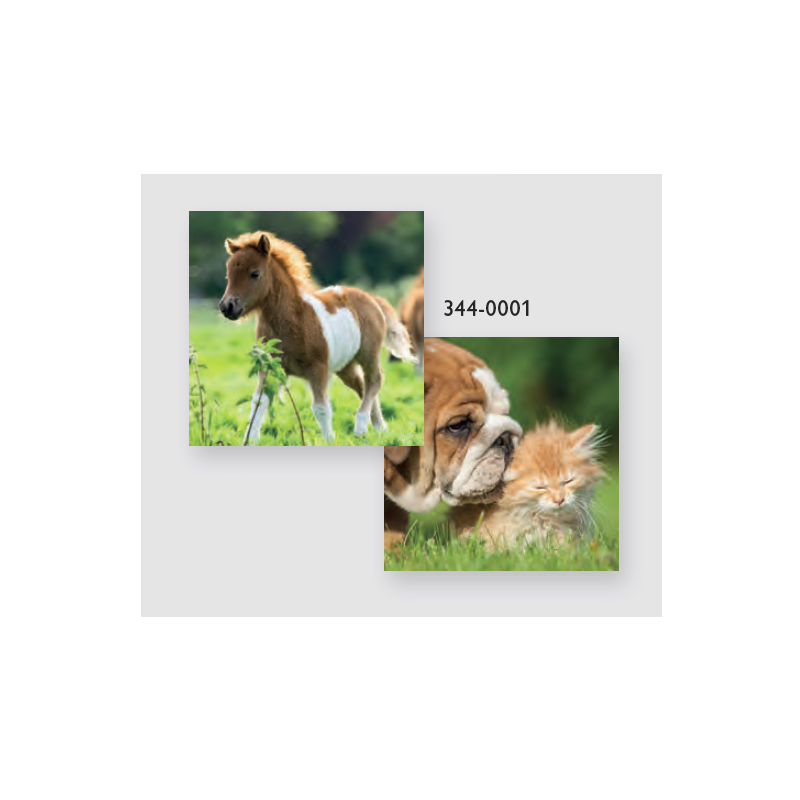 DOS CALENDRIER ANIMAUX ASS. 145X295MM