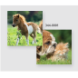 DOS CALENDRIER ANIMAUX ASS. 145X295MM