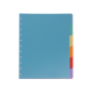 INTERCAL. A4 NEUTRES PLAST. 6 ONGLETS COUL. ATOMA (240X310MM)