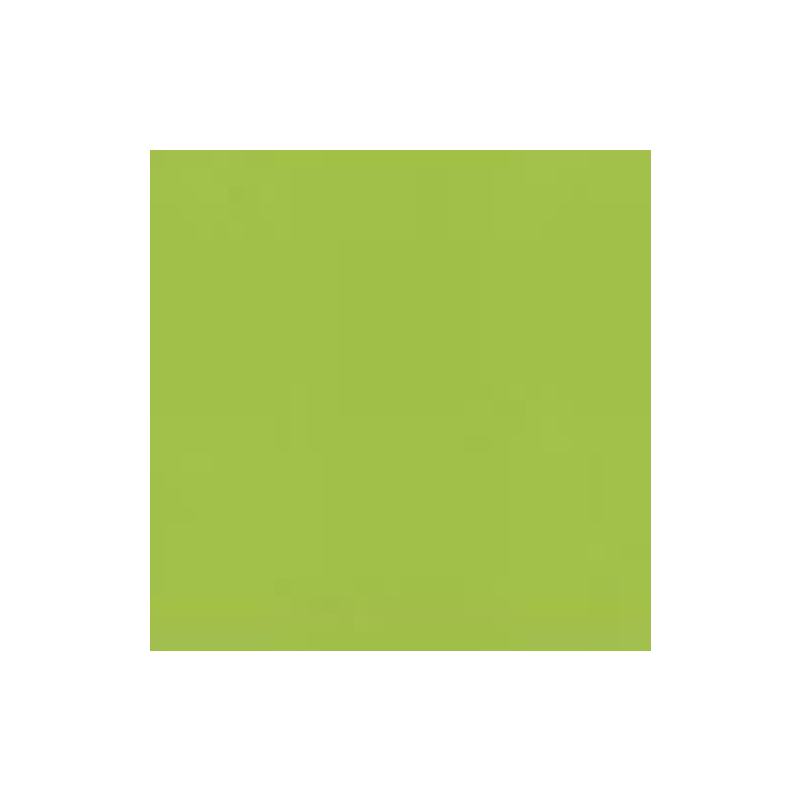 PAPIER DESSIN A4 300G VERT PRINTEMPS PAQ. 50FLS