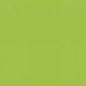 PAPIER DESSIN A4 300G VERT PRINTEMPS PAQ. 50FLS