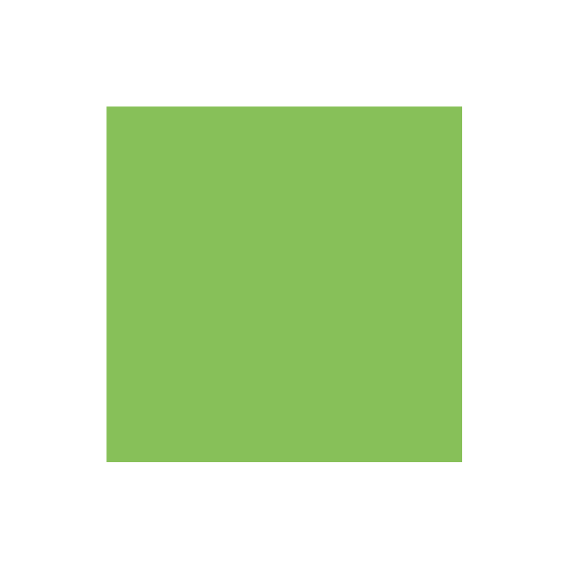 PAPIER DESSIN A4 300G VERT CLAIR PAQ. 50FLS