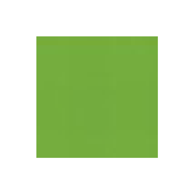 PAPIER DESSIN A4 300G VERT HERBE PAQ. 50FLS