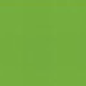 PAPIER DESSIN A4 300G VERT HERBE PAQ. 50FLS