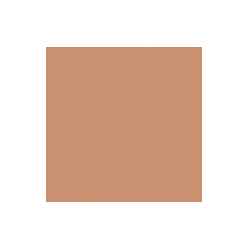 PAPIER DESSIN A4 300G BRUN CLAIR PAQ. 50FLS