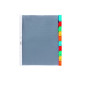 INTERCAL. A4 NEUTRES PLAST. 10 ONGLETS COUL. DURABLE
