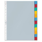 INTERCAL. A4 NEUTRES PLAST. 12 ONGLETS COUL. DURABLE