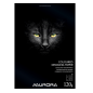 BLOC DESSIN COULEUR 245X345MM 120G 20FLS AURORA