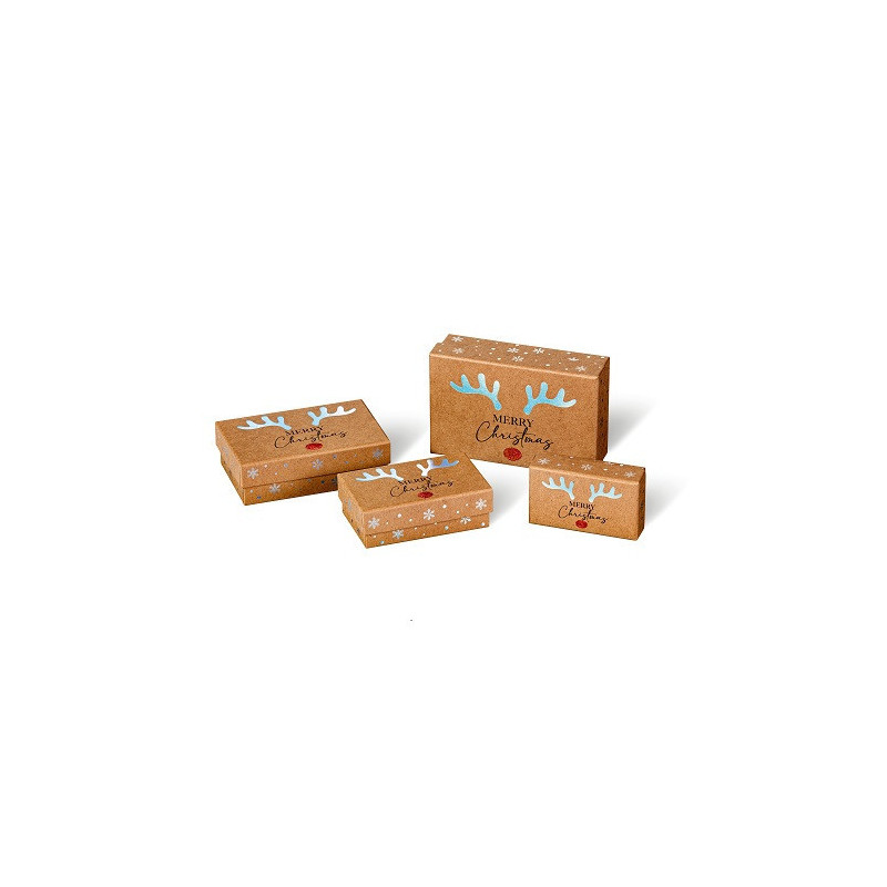 BOITE CADEAU BSB NOEL RED NOSE 4PCS COMPOSE DE:
