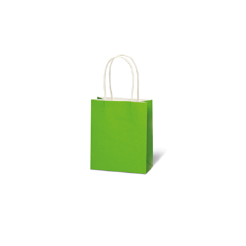SACHET BSB 15X12X5,5CM KRAFT VERT