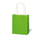 SACHET BSB 15X12X5,5CM KRAFT VERT