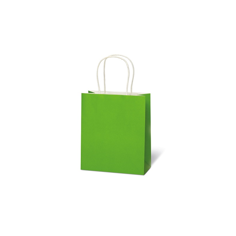 SACHET BSB 21X18X8CM KRAFT VERT