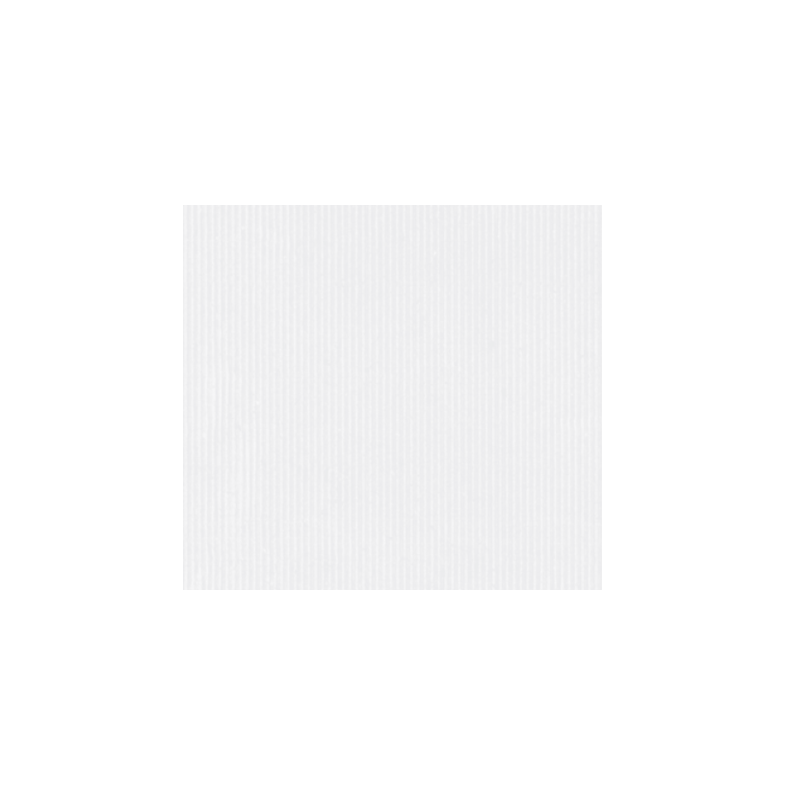 PAPIER CADEAU BSB KRAFT BLANC