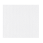 PAPIER CADEAU BSB KRAFT BLANC