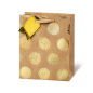 SACHET BSB 23X19X9CM GOLDEN DOTS