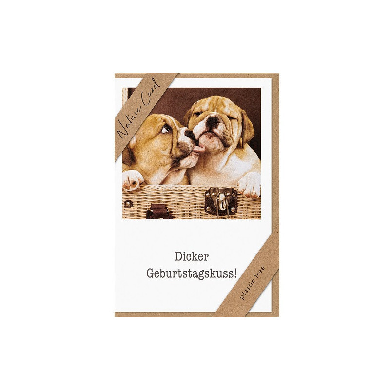 CARTE VOEUX BSB NATURE CARD HAPPY BIRTHDAY