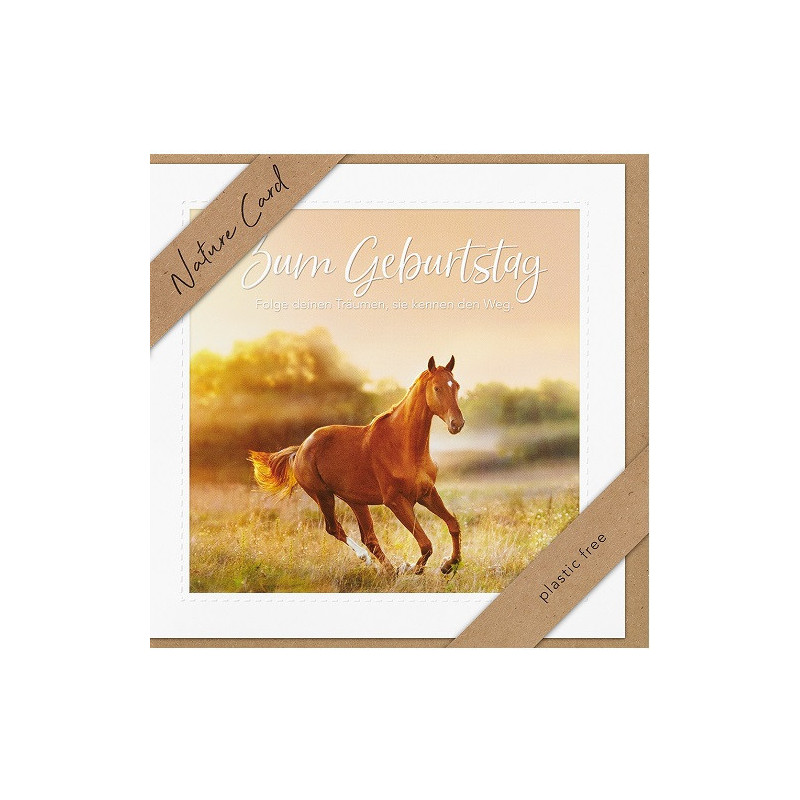 CARTE VOEUX BSB NATURE CARD HAPPY BIRTHDAY