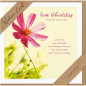 CARTE VOEUX BSB NATURE CARD HAPPY BIRTHDAY