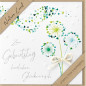 CARTE VOEUX BSB NATURE CARD HAPPY BIRTHDAY