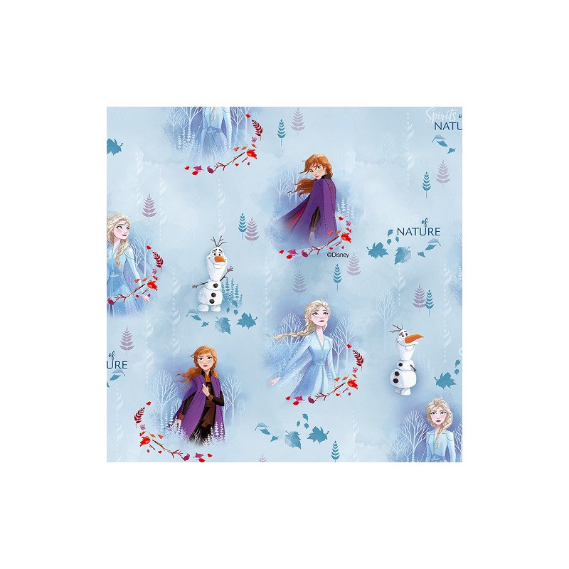 PAPIER CADEAU BSB FROZEN