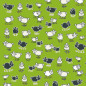 PAPIER CADEAU BSB SHEEP