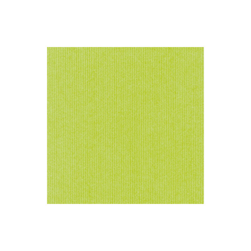 PAPIER CADEAU BSB KRAFT VERT
