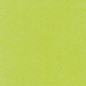 PAPIER CADEAU BSB KRAFT VERT