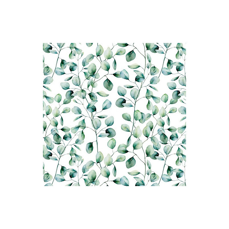 PAPIER CADEAU BSB EUKALYPTUS