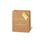 SACHET BSB 23X19X9CM GLUCKWUNSCH