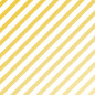 PAPIER CADEAU BSB WHITE AND GOLD