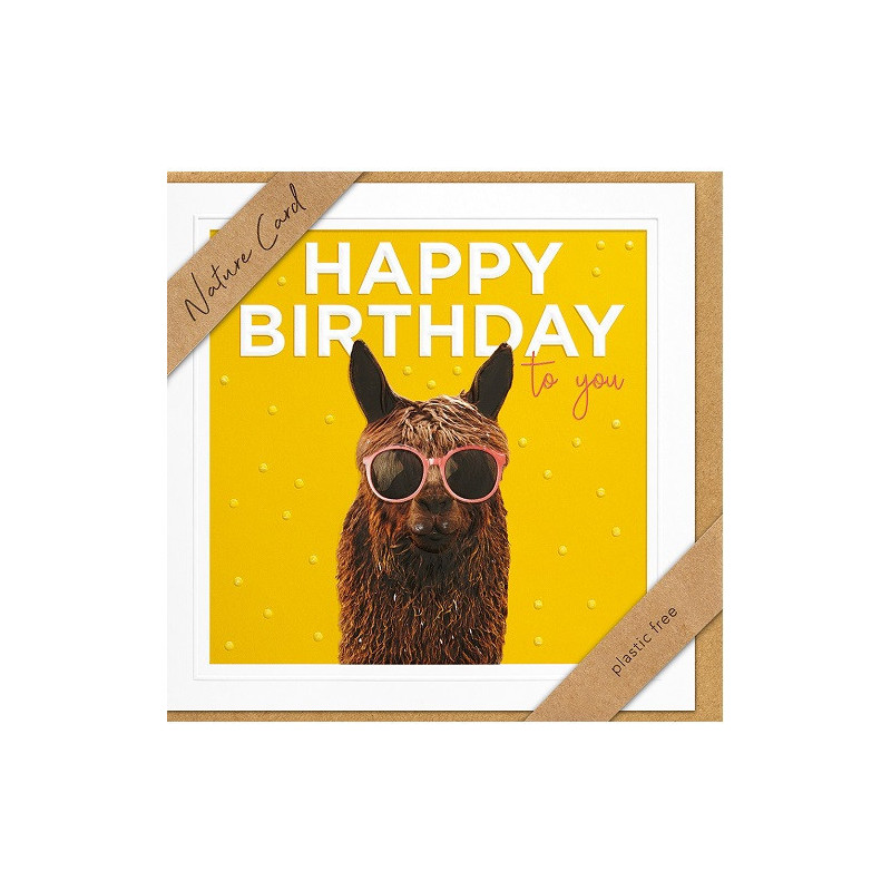 CARTE VOEUX BSB NATURE CARD HAPPY BIRTHDAY