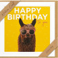 CARTE VOEUX BSB NATURE CARD HAPPY BIRTHDAY