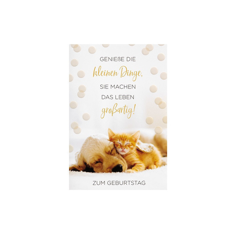 CARTE VOEUX BSB HAPPY BIRTHDAY