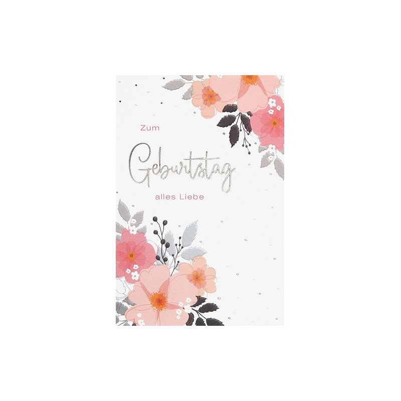 CARTE VOEUX BSB HAPPY BIRTHDAY