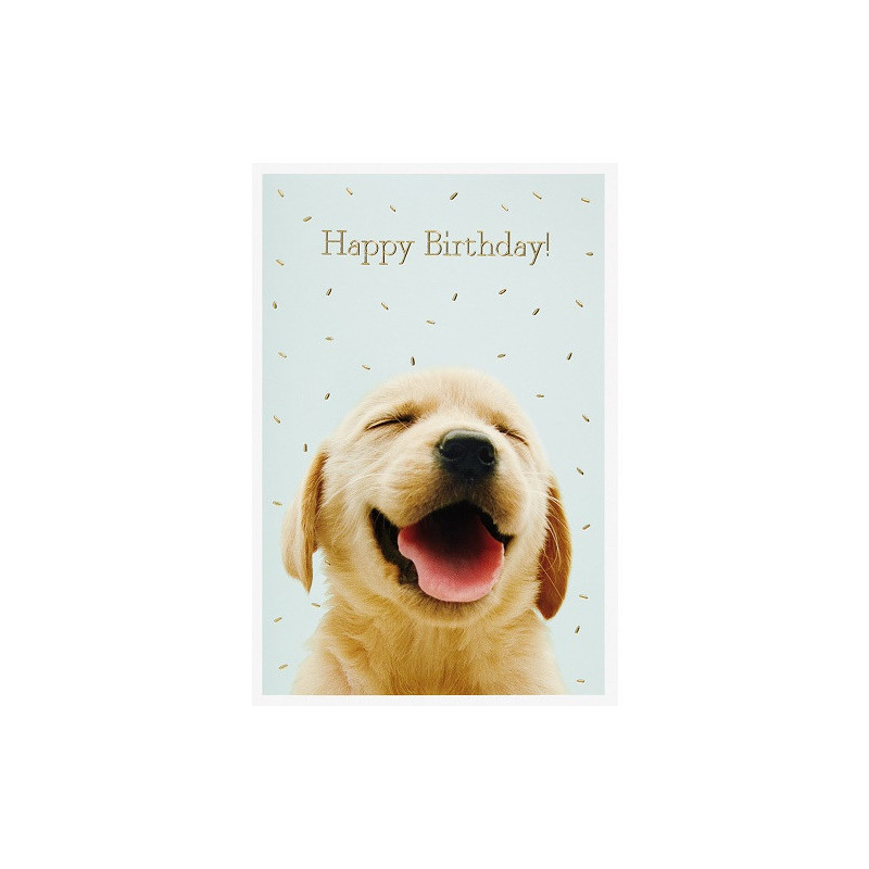 CARTE VOEUX BSB HAPPY BIRTHDAY