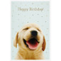 CARTE VOEUX BSB HAPPY BIRTHDAY