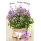 CARTE VOEUX BSB HAPPY BIRTHDAY