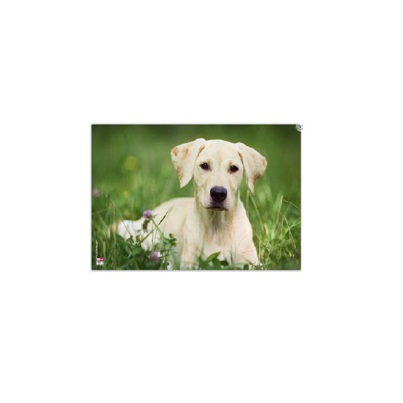 SOUS-M. ENF. VELOFLEX 40X60CM CHIEN