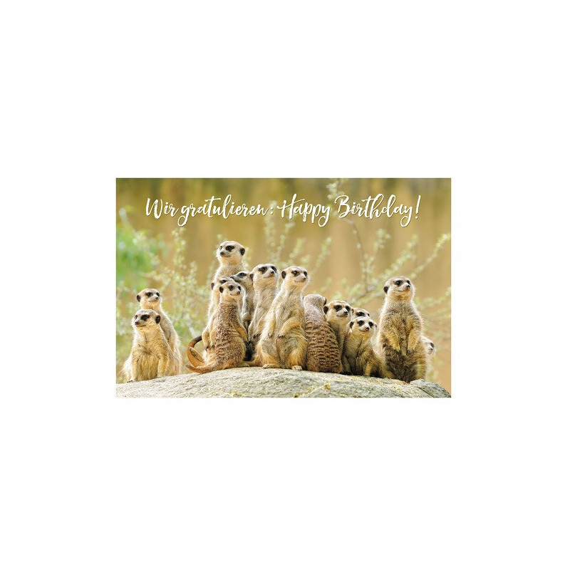 CARTE VOEUX BSB HAPPY BIRTHDAY