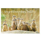 CARTE VOEUX BSB HAPPY BIRTHDAY