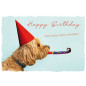 CARTE VOEUX BSB HAPPY BIRTHDAY