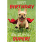 CARTE VOEUX BSB HAPPY BIRTHDAY