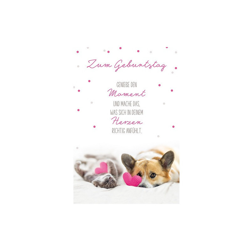 CARTE VOEUX BSB HAPPY BIRTHDAY